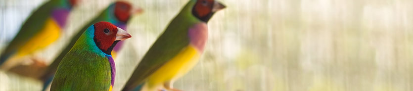 wildlife compliance monitoring