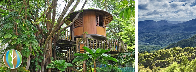 eco-tourism tree house