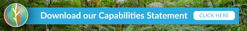 capabilities statement