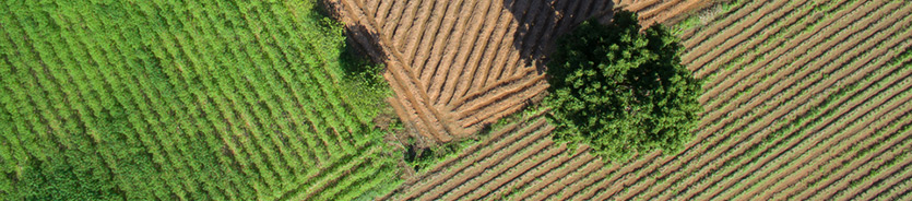 government natural resource