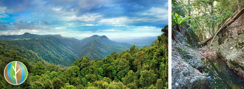 gold coast hinterland