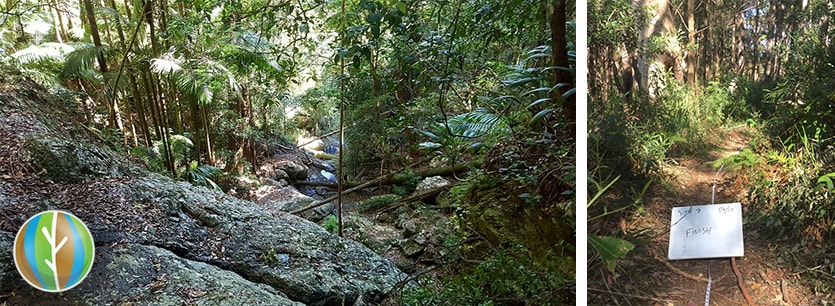 hinterland environmental impact