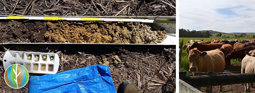 environmental soil testing